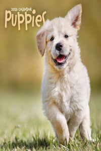 2026 Puppies Wall Calendar