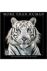 More Than Human 2018 Calendar: The Photography of Tim Flach
