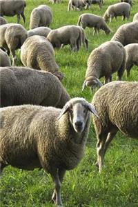 Flock of Sheep Journal