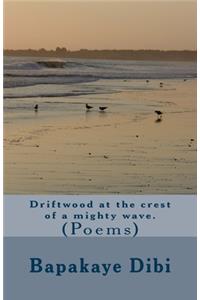 Driftwood at the crest of a mighty wave