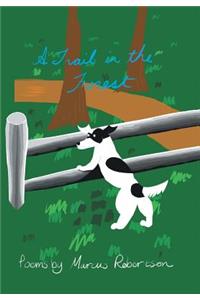 A Trail in the Forest