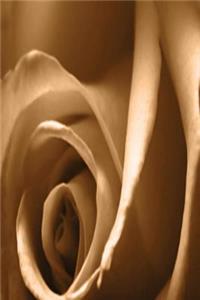 Floral Journal Pretty Autumn Rose