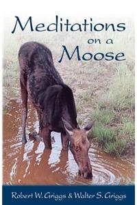 Meditations on a Moose