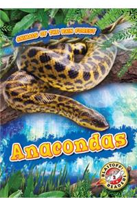 Anacondas
