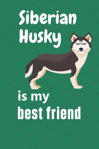 Siberian Husky is my best friend