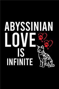 Abyssinian Love Is Infinite