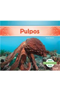 Pulpos (Spanish Version)