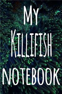 My Killifish Notebook