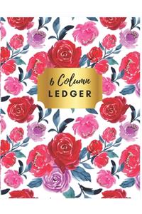 6 Column Ledger