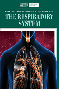 The Respiratory System