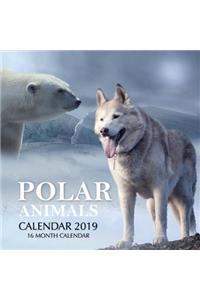 Polar Animals Calendar 2019