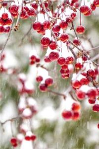 2019 Weekly Planner Winter Berries Red White Christmas Colors Snowstorm 134 Page