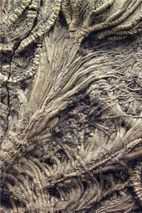 Notebook Ancient Stone Fossils