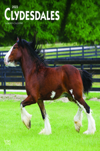 Clydesdales 2023 Square