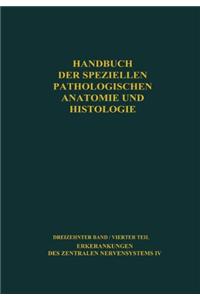 Erkrankungen Des Zentralen Nervensystems IV