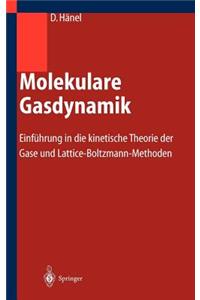 Molekulare Gasdynamik