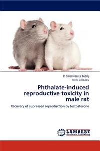 Phthalate-induced reproductive toxicity in male rat