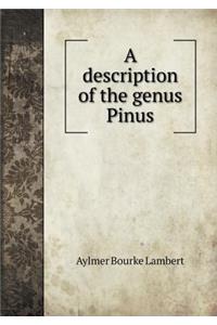 A Description of the Genus Pinus