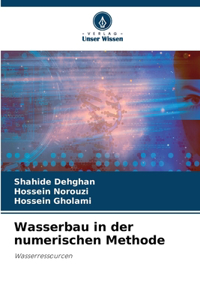 Wasserbau in der numerischen Methode