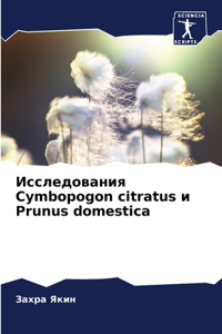 Исследования Cymbopogon citratus и Prunus domestica