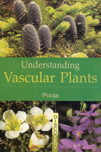 Understanding Vascular Plants