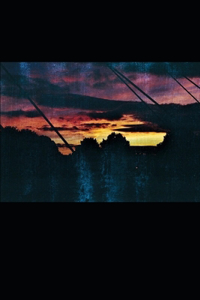 Forget-Me-Not Water Sun Blue