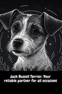 Jack Russell Terrier