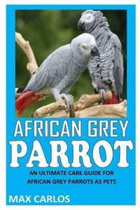 African Grey Parrot