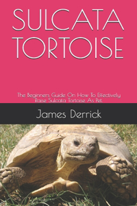 Sulcata Tortoise