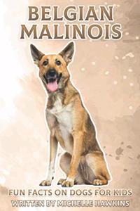 Belgian Malinois