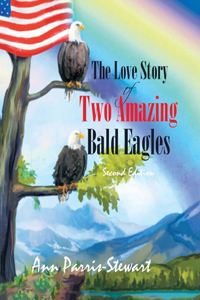 Love Story of Two Amazing Bald Eagles