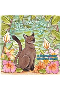 Beverlee Beaz, the Brown Burmese