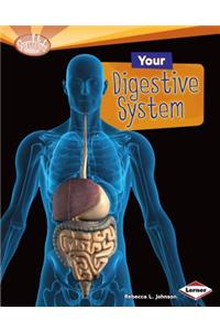 Your Digestive System