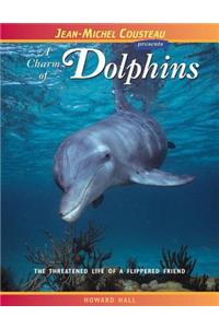 A Charm of Dolphins