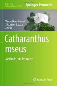 Catharanthus roseus