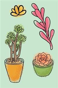 Succulents