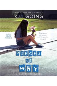 Pieces of Why