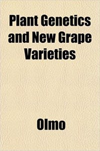 Plant Genetics and New Grape Varieties