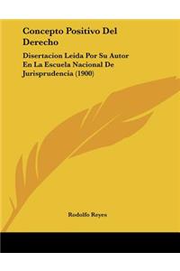 Concepto Positivo Del Derecho