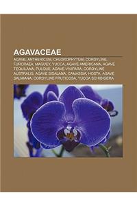 Agavaceae: Agave, Anthericum, Chlorophytum, Cordyline, Furcraea, Maguey, Yucca, Agave Americana, Agave Tequilana, Pulque, Agave V