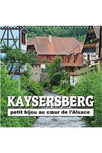 Kaysersberg - Petit Bijou Au c/Ur de L'alsace 2017