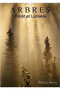 Arbres. Foret Et Lumiere 2018