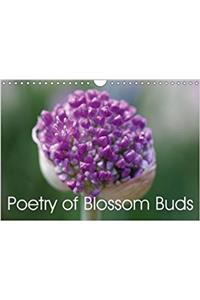 Poetry of Blossom Buds 2018
