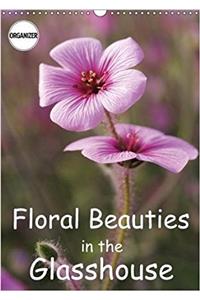 Floral Beauties in the Glasshouse 2018