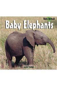 Baby Elephants