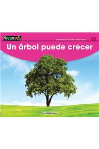 El Rbol Puede Crecer Leveled Text