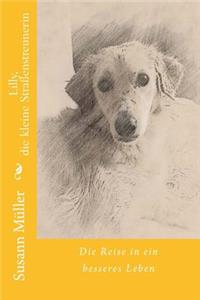 Lilly, Die Kleine StraÃ?enstreunerin
