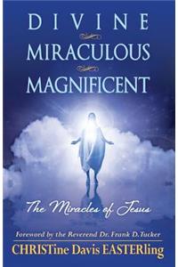 Divine Miraculous Magnificent