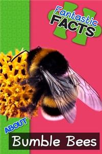 Fantastic Facts about Bumble Bees