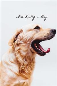 I'm Really a Dog